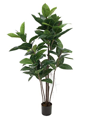 EUROPALMS Gummibaum, Kunstpflanze, 120cm von EUROPALMS