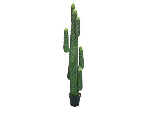 EUROPALMS Mexikanischer Kaktus, Kunstpflanze, grün, 173cm | Deko-Kaktus mit seitlichen Zweigen aus hochwertigem Kunststoff von EUROPALMS