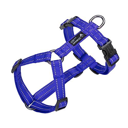 EXCELLENT ELITE SPANKER Spaziergang Hundegeschirr weich gepolstert reflektierende Weste Geschirr Anti-Twist-Leine für kleine mittlere große Hund Katze(BLU,XL) von EXCELLENT ELITE SPANKER