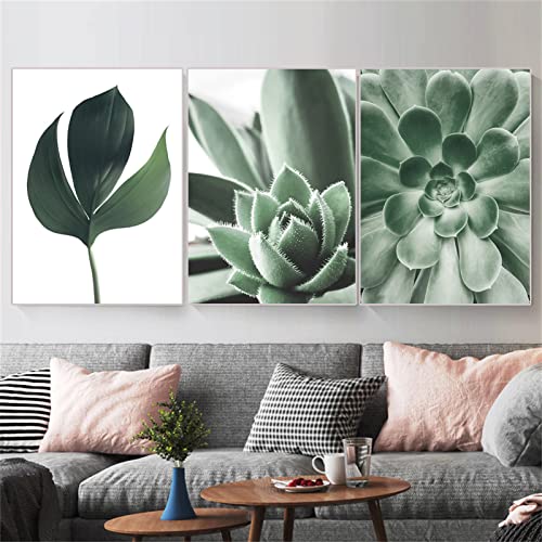 EXQUILEG Poster 3er Set Wandbilder, Moderne Premium Poster Set, Grüne Blätter Pflanze Bilder Wandposter Posterset Ohne Rahmen - Natur Wohnzimmer Schlafzimmer (21x30cm) von EXQUILEG