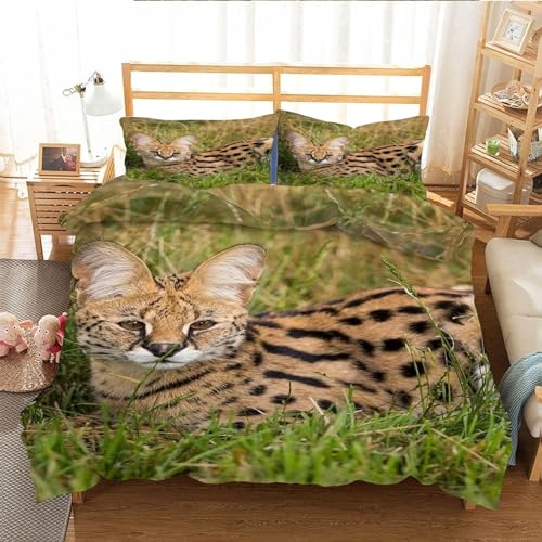 EXSANLIEAY Seltene Tiere Bettwäsche 135x200 Serval Katze Bettbezug 3 Teilig Set mit 2 Kissenbezug 80x80 cm, Weich Mikrofaser Bettwäsche-Sets mit ReißVerschluss von EXSANLIEAY