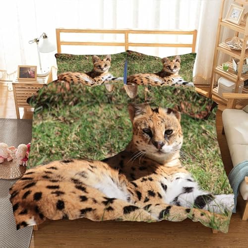 EXSANLIEAY Serval Katze Bettwäsche 135x200 Wilde Tiere Bettbezug 3 Teilig Set mit 2 Kissenbezug 80x80 cm, Weich Mikrofaser Bettwäsche-Sets mit ReißVerschluss von EXSANLIEAY