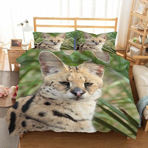 EXSANLIEAY Serval Katze Bettwäsche 155x220 Katzenaristokrat Bettbezug, Bettwäsche-Sets 3 Teilig, Weich & BüGelfrei Mikrofaser Wendebettwäsche und 2 Kissenbezug 80x80 mit ReißVerschlus von EXSANLIEAY