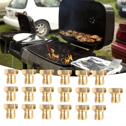 Range Herd Ofen Öffnung Umbausatz, 20 Stück Messing Jet Düse Propan Brenner Öffnung Kit Grill Ersatzteile LP Gas von EasyByMall