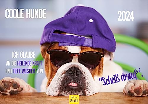 Edition Seidel Premium Kalender Coole Hunde 2024 Format DIN A3 Wandkalender Hundekalender Tiere mit lustigen Sprüchen Motivation von Edition Seidel