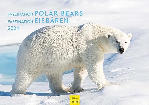 Edition Seidel Premium Kalender Die Welt der Eisbären 2024 Format DIN A3 Wandkalender Tierkalender Nordpol Grönland Eis Bär Polarbär Raubtier von Edition Seidel