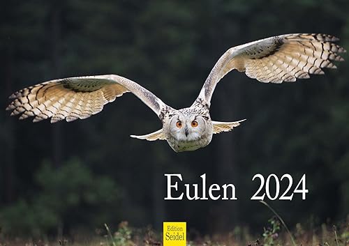Edition Seidel Premium Kalender Eulen 2024 Format DIN A4 Wandkalender Eulenkalender Vogelkalender Eule Uhu Vogel Wildvogel von Edition Seidel
