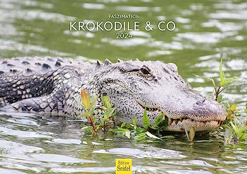 Edition Seidel Premium Kalender Faszination Krokodile & Co. 2024 Format DIN A3 Wandkalender Tierkalender Tropen Krokodil Reptilien Raubtiere Wildtiere von Edition Seidel