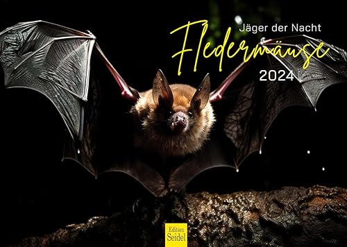 Edition Seidel Premium Kalender Fledermäuse Jäger der Nacht 2024 Format DIN A3 Wandkalender Tierkalender Fledermaus Säugetiere von Edition Seidel
