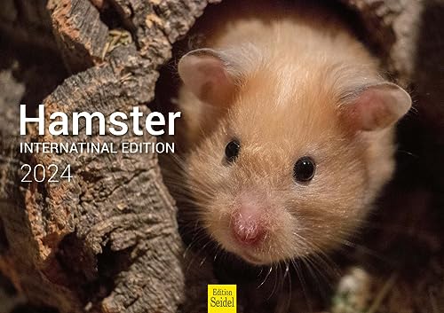 Edition Seidel Premium Kalender Hamster International 2024 Format DIN A3 Wandkalender Tierkalender Haustier Nager von Edition Seidel