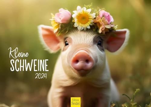 Edition Seidel Premium Kalender Kleine Schweine 2024 Format DIN A3 Wandkalender Tierkalender Tiere Schweinchen Schwein Ferkel Tier Kinder von Edition Seidel