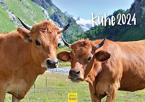 Edition Seidel Premium Kalender Kühe 2024 Format DIN A3 Wandkalender Kuhkalender Weltweit Kuh Rind Kalb heimische Tiere Bauernhof von Edition Seidel