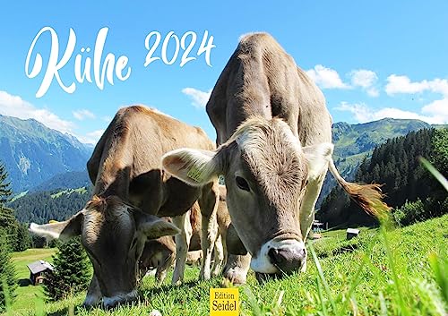 Edition Seidel Premium Kalender Kühe 2024 Format DIN A3 Wandkalender Kuhkalender Weltweit Kuh Rind Kalb heimische Tiere Bauernhof von Edition Seidel