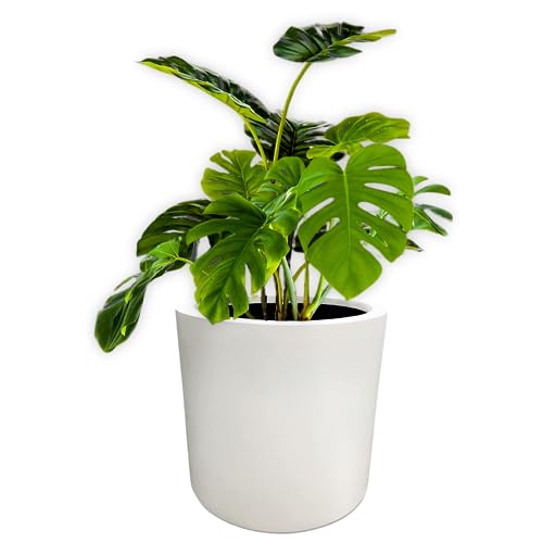 Elly Décor 25,4 cm Fiberstone Pflanzgefäß Ablaufloch und Stopfen, runder Zylindertopf, ultraleichter Blumentopf, 25,4 cm, Weiß Elly Décor 25,4 cm Fiberstone Pflanzgefäß Ablaufloch und Stopfen, runder Zylindertopf, ultraleichter Blumentopf, 25,4 cm, Weiß von Elly Décor
