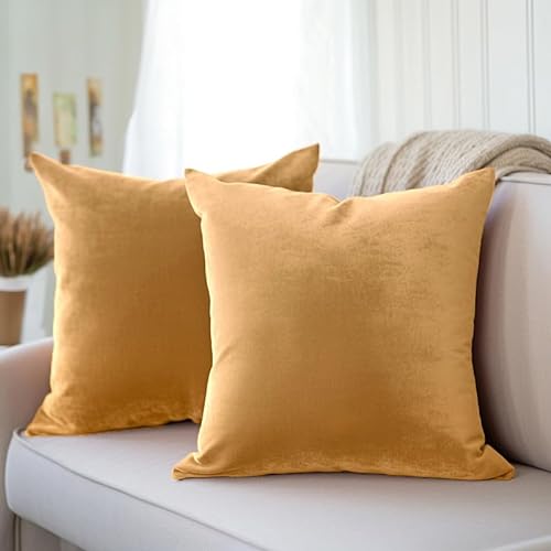 Encasa Homes Kissenbezüge aus Samt - 2er-Set (60x60 cm) - Gold- Uni gefärbt, weich & glatt, waschbar, quadratisch, großer Wurfkissenbezug für Couch, Sofa, Stuhl, Bett und Wohnbereich von Encasa XO