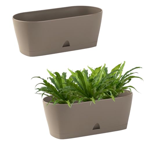Engelland - 2 x Blumenkasten mit Untersetzer, Braun, Balkonkasten, Pflanztopf, 25 cm, Tischdeko, für Garten, Terrasse, Fensterbank, mit Wasserauffangschale, Innen- & Außenbereich, 1,7 Liter Engelland - 2 x Blumenkasten mit Untersetzer, Braun, Balkonkasten, Pflanztopf, 25 cm, Tischdeko, für Garten, Terrasse, Fensterbank, mit Wasserauffangschale, Innen- & Außenbereich, 1,7 Liter von Engelland