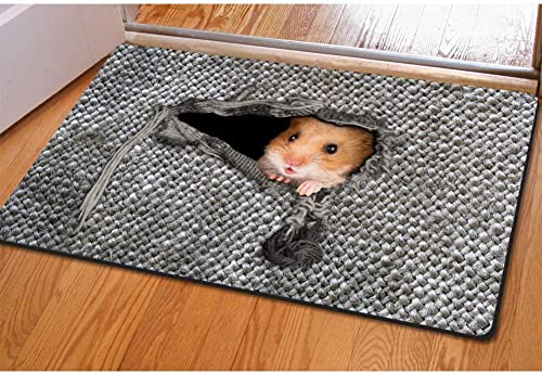Ensound Fußmatte mit Hamster-Muster, für den Innenbereich, Küche, Wohnzimmer, Badezimmer, Schlafzimmer, 91,4 x 61 cm von Ensound