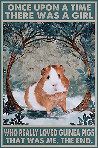 Vintage Metall Blechschild, A Girl Who Really Loves Guinea Pig Poster, Once Upon A Time, Cute Guinea, Novelty Sign Vintage Metal Tin Sign Wall Sign Plaque Poster 30 x 20 cm von Ensound