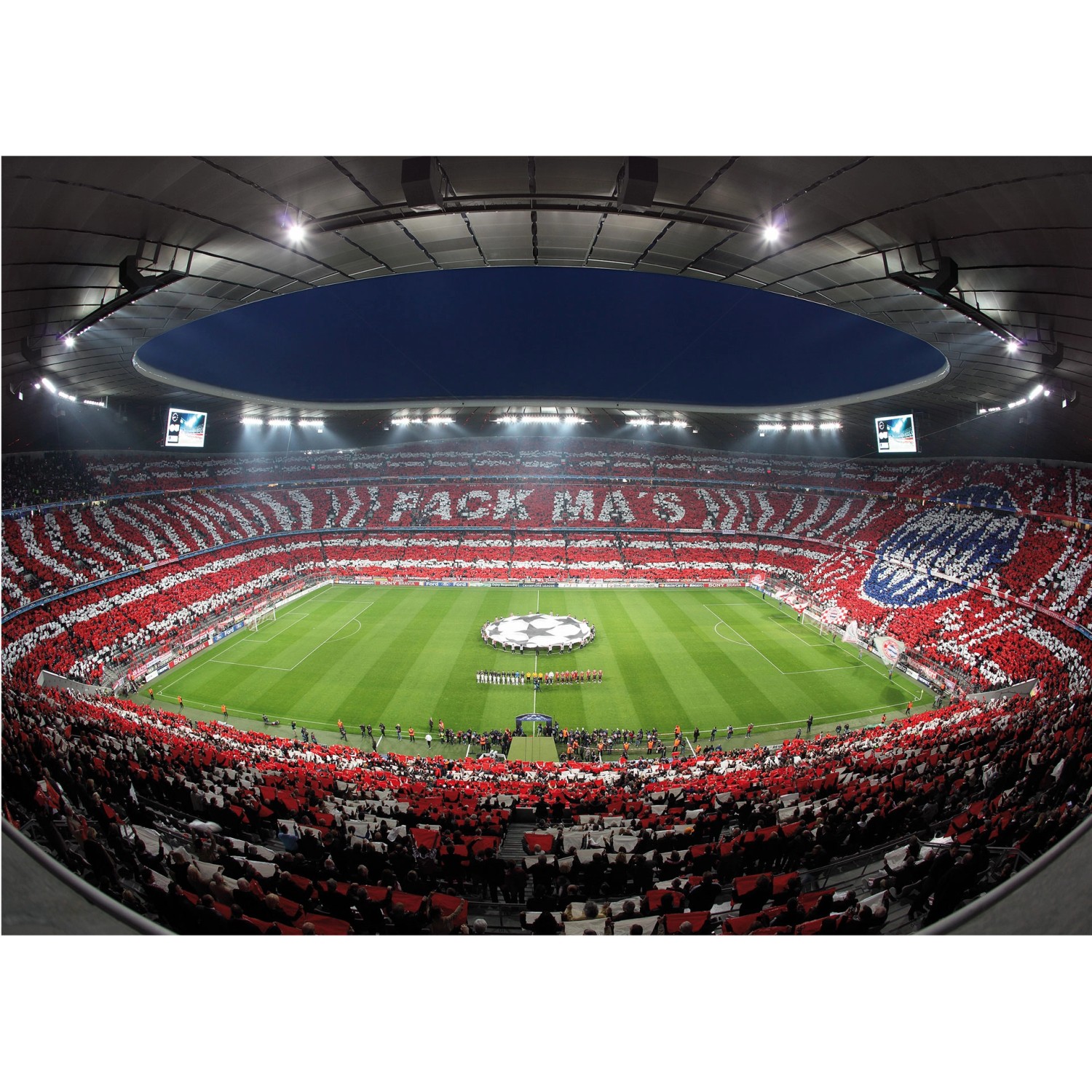 Erfurt Fototapete Vlies FC Bayern Pack Mas 480 cm x 300 cm von Erfurt