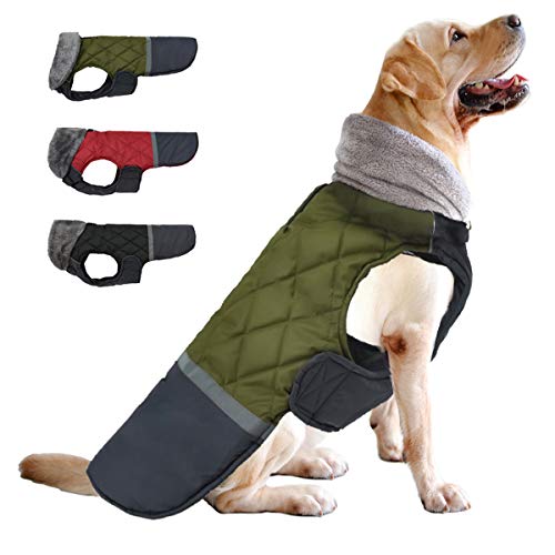 Etechydra Hundemantel Jacken Plüsch Reflektorend, Hundejacken Reversibel Winter Wasserdicht Winddicht Hundejacke Warm Kleidung Mantel Hundeweste für Kleine Mittelere und Große Hunde, Grün M. von Etechydra