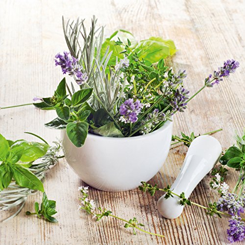 Eurographics DG-DT62083 Appealing Herbs 20x20 DecoGlass, Glas, Grün, 20, 00 x 20, 00 cm von EuroGraphics