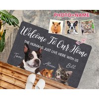 Benutzerdefinierte Haustier Fußmatte Hund Katze Name Und Foto Lustig Personalisierte Niedliche Groß Willkommen Indoor Outdoor Eintrag Teppich von Exclusiveculture