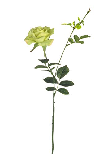 12 künstliche Rosen. von Express Flor