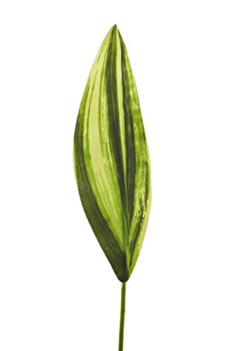 Express Flor 6 künstliche Dracaena-Blätter, 72 cm, Grün (8435011788623) von Express Flor