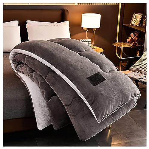 FDISDIFH Winter Bettdecke, Extra Dick Cashmere Touch Decke, Flauschig Doppelgesicht Dicke Decke, Weich Und Warme PlüSch Winterdecke FüR Kaltes Wetter,D,220 * 240cm79*94.4in(5kg) von FDISDIFH