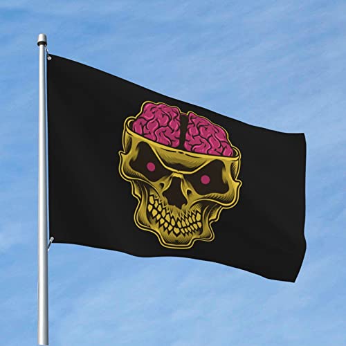 Robuste Flagge mit Totenköpfen und Gehirnen, 122 x 182 cm, langlebiges Banner für den Außenbereich, Willkommensflagge für Zuhause, Party, Terrasse, Dekoration von FJQWKLF