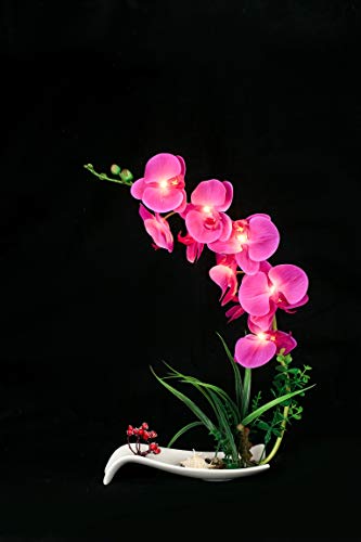 FLCSIed Künstliche Orchidee Blumentopf Künstliche Phaleanopsis Arrangement mit Vase Dekorative Orchidee Blume Bonsai mit 9 LED-Lichtern (Lila) von FLCSIed