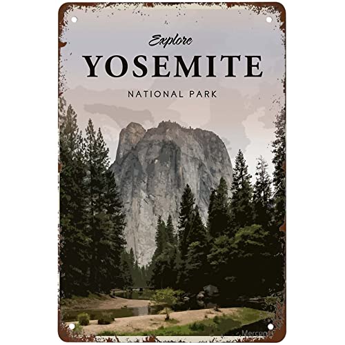 FONALO Lustiges Yosemite Nationalpark-Schild, Wanddekoration, Vintage-Blechschild, Kunst, Blechschild, Spaß, Bar, Büro, Zuhause, Café, Männerhöhle, Badezimmer, Wanddekoration, Geschenk, 20 x 30 cm von FONALO