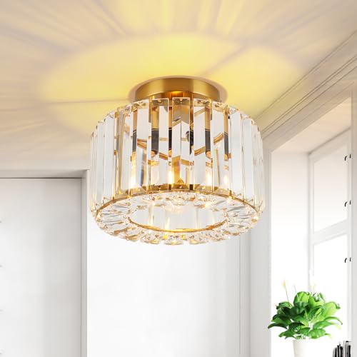 FORCOSO Kristall Deckenleuchte Ø23cm, Kronleuchter Gold mit Metall Rahmen Lampenschirm, Sockel E27 Deckenlampe, Moderne Lampe für Schlafzimmer Wohnzimmer Flur Küche Esszimmer von FORCOSO