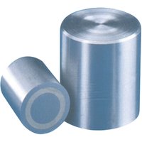 Format - Stabgreifer-Magnet 13x18mm von FORMAT