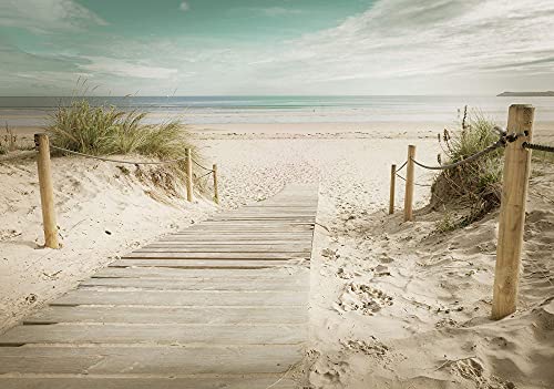 Forwall Fototapete Strand Meer Ostsee Sand Natur Dünen Wohnzimmer Schlafzimmer Vlies Tapete Wandtapete UV-Beständig Hohe Auflösung Montagefertig (11597, VEXXXL (416x254 cm) 4 Bahnen) von Forwall