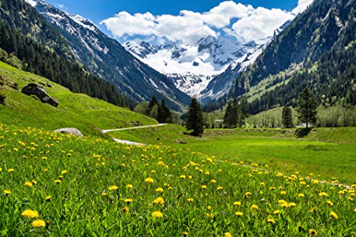 ALPEN Fototapete VLIES-450x280 cm (1395A)-Natur Landschaft Blumen Berge Garten Bäume Gebirge Wandtapete-Inkl. Kleister-Vliestapete Bild Dekoration Wand-Dekor Moderne Motiv-Tapete Panorama Poster XXL von FOTOTAPETENDRUCK