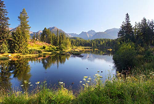 SEE Fototapete VLIES-350x260 cm (967A)-Natur Landschaft Berge Gebirge Alpen Blumen Wald Bäume Wandtapete-Inkl. Kleister-Vliestapete Bild Dekoration Wand-Dekor Moderne Motiv-Tapete Panorama Poster XXL von FOTOTAPETENDRUCK