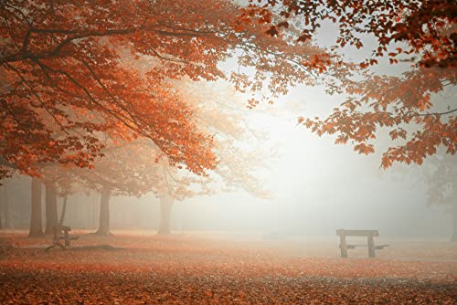 WALD Fototapete VLIES-400x260 cm (7091A)-Natur Landschaft See Bäume Nebel Herbstwald Fotokunst Wandtapete-Inkl. Kleister-Vliestapete Bild Dekoration Wand-Dekor Moderne Motiv-Tapete Panorama Poster XXL von FOTOTAPETENDRUCK