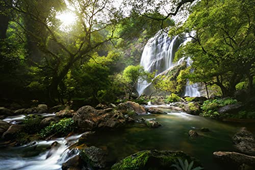 WASSERFALL Fototapete VLIES-350x260 cm (6265A)-Natur Bäume Regenwald Dschungel Wald Fotokunst Wandtapete-Inkl. Kleister-Vliestapete Bild Dekoration Wand-Dekor Moderne Motiv-Tapete Panorama Poster XXL von FOTOTAPETENDRUCK