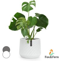 Fox&fern - Blumentopf, Übertopf Groß, uv- und Frostbeständige Blumentöpfe, Blumentopf für Innen und Außen, Übertöpfe für Zimmerpflanzen, Übertopf mit von FOX & FERN