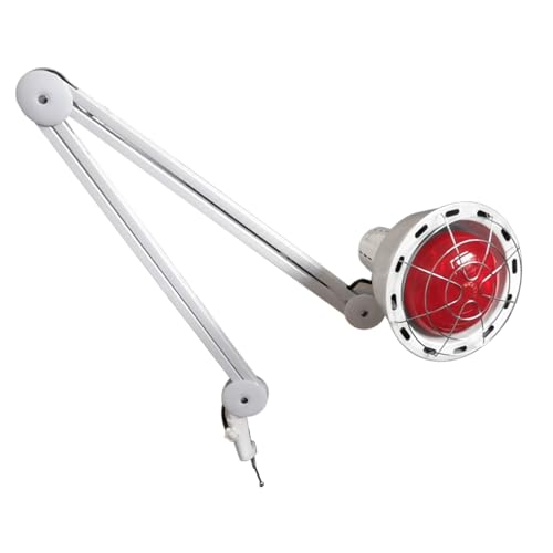 FUROMG 275W Infrarotlampe Wärmelampe Rotlicht Lampe Strahler Nfrarot Lampe mit Clip Schmerzlinderung Lampe Physiotherapie Licht Gesundheit FUROMG 275W Infrarotlampe Wärmelampe Rotlicht Lampe Strahler Nfrarot Lampe mit Clip Schmerzlinderung Lampe Physiotherapie Licht Gesundheit von FUROMG