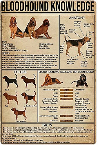 Bloodhound Dog Knowledge Metall-Blechschild „Anatomy of Bloodhound“, Retro-Druck, Poster, Schule, Café, Tierhandlung, Bar, Schlafzimmer, Badezimmer, Küche, Zuhause, Kunst, Wanddekoration von FWJZDSP