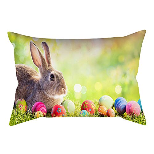 FeiliandaJJ Zierkissenbezüge Ostern 30x50cm Kissenbezug Leinen Kissenbezüge Ostern Muster Kopfkissenbezug Pillowcase mit Reißverschluss Kissenhülle Für Wohnzimmer Sofa Ostern Deko (D, 30x50cm) von FeiliandaJJ