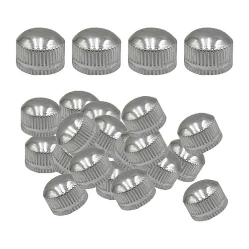 Fenteer 100 x M4-Schraubenkappen für Lampenknopfmuttern, Deckenleuchten-Schraubenkappenabdeckungen, Hardware für die Dekoration von Pendelleuchten, Silber Fenteer 100 x M4-Schraubenkappen für Lampenknopfmuttern, Deckenleuchten-Schraubenkappenabdeckungen, Hardware für die Dekoration von Pendelleuchten, Silber von Fenteer