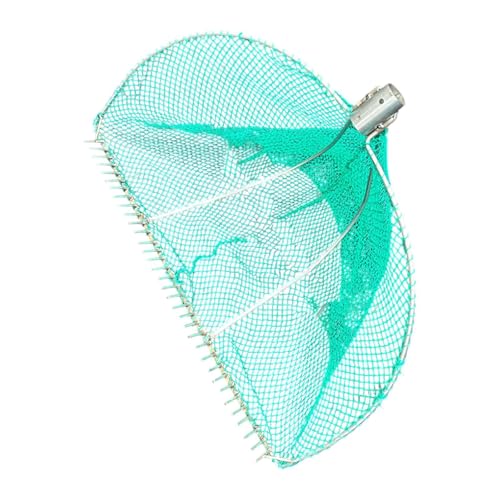 Fenteer Krallenrechen mit Maschennetz, Muscheln ausgraben, Werkzeug, Mehrzweck, verdickter, robuster Schlammrechen für Herbst und Winter, Metallrechennetz für, Type A Fenteer Krallenrechen mit Maschennetz, Muscheln ausgraben, Werkzeug, Mehrzweck, verdickter, robuster Schlammrechen für Herbst und Winter, Metallrechennetz für, Type A von Fenteer