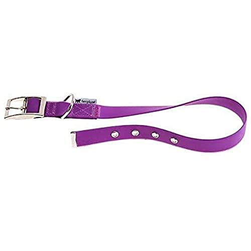 Ferplast Hundehalsband Evolution CF25/53, Hypoallergen, Waschbar, Lochverstellung, Lila Ferplast Hundehalsband Evolution CF25/53, Hypoallergen, Waschbar, Lochverstellung, Lila von Ferplast