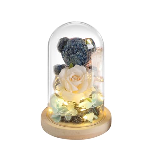 Fiorky Niedlicher Bär, ewige Rose im Glas mit LED-Licht, ewige, konservierte Blumen, Bär, süße Bärenblume, Rose, Glasabdeckung for Valentinstag, Muttertag, Geburtstag (blau) von Fiorky