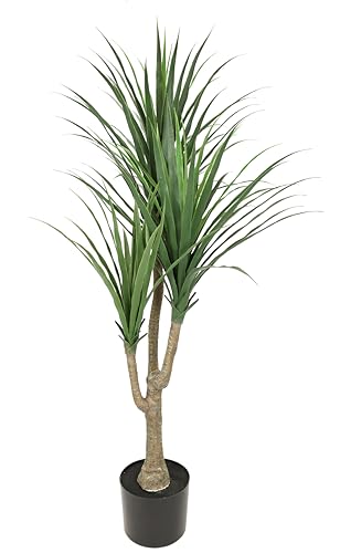 Dracena Pflanze künstlich im Topf groß Dracenapalme tropische Zimmerpflanzen Zimmerpalme Grünpflanzen Kunstpflanze Drachenbaum Kunstpalme Dekopalme Pflanze Palme Grünpflanze Büropflanze Topfpflanze von Flair Flower