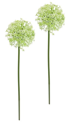 Kunstblume Allium Zierlauch Kugelblume Zweig Einzelblume Stielblume Floristik künstliche Blumen Beiwerk für künstliche Blumen-Sträuße und Bouquets Blumengestecke Dekoblume Blumenlauch, Grün von Flair Flower