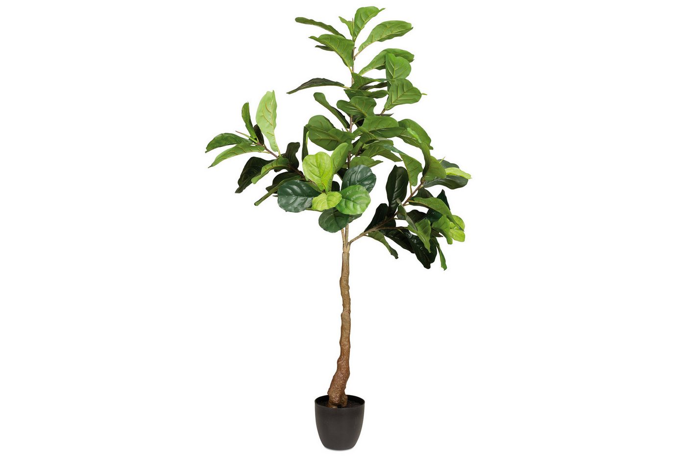 Kunstpflanze Geigenfeige - Ficus Lyrata, Kunstpflanze 152 cm, fleur ami, Höhe 152 cm von fleur ami